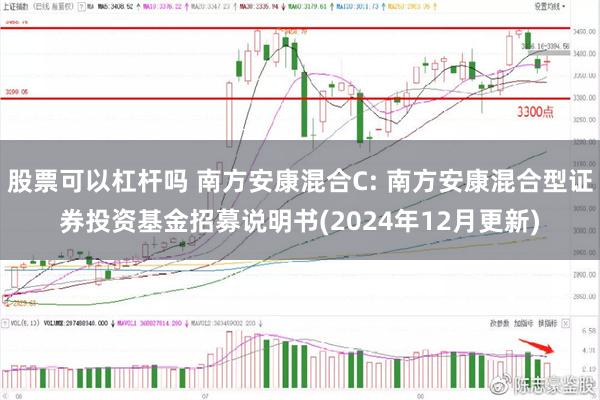 股票可以杠杆吗 南方安康混合C: 南方安康混合型证券投资基金招募说明书(2024年12月更新)