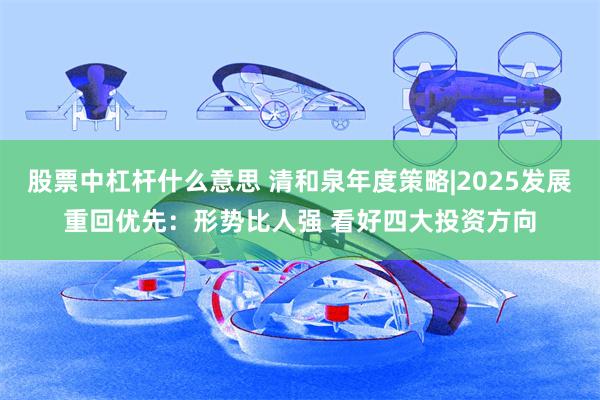 股票中杠杆什么意思 清和泉年度策略|2025发展重回优先：形势比人强 看好四大投资方向