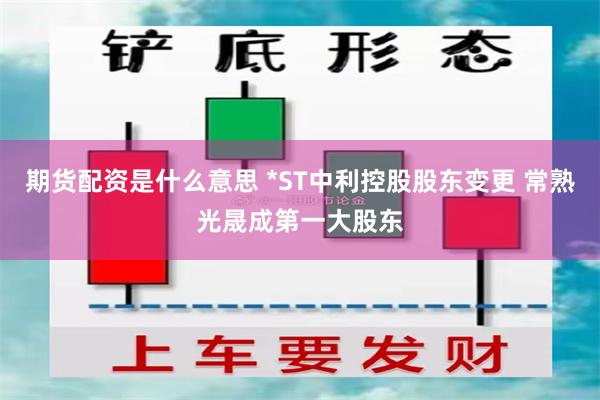 期货配资是什么意思 *ST中利控股股东变更 常熟光晟成第一大股东