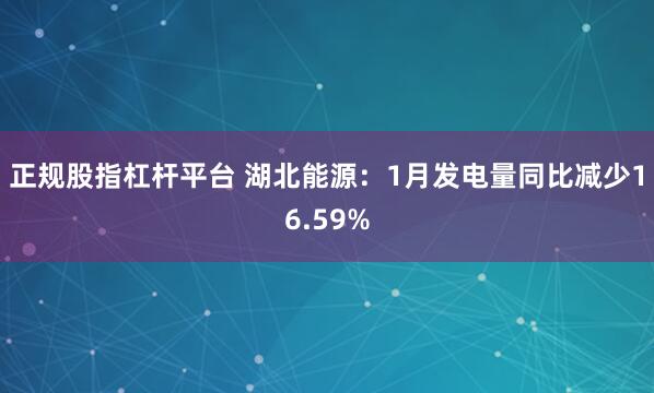 正规股指杠杆平台 湖北能源：1月发电量同比减少16.59%